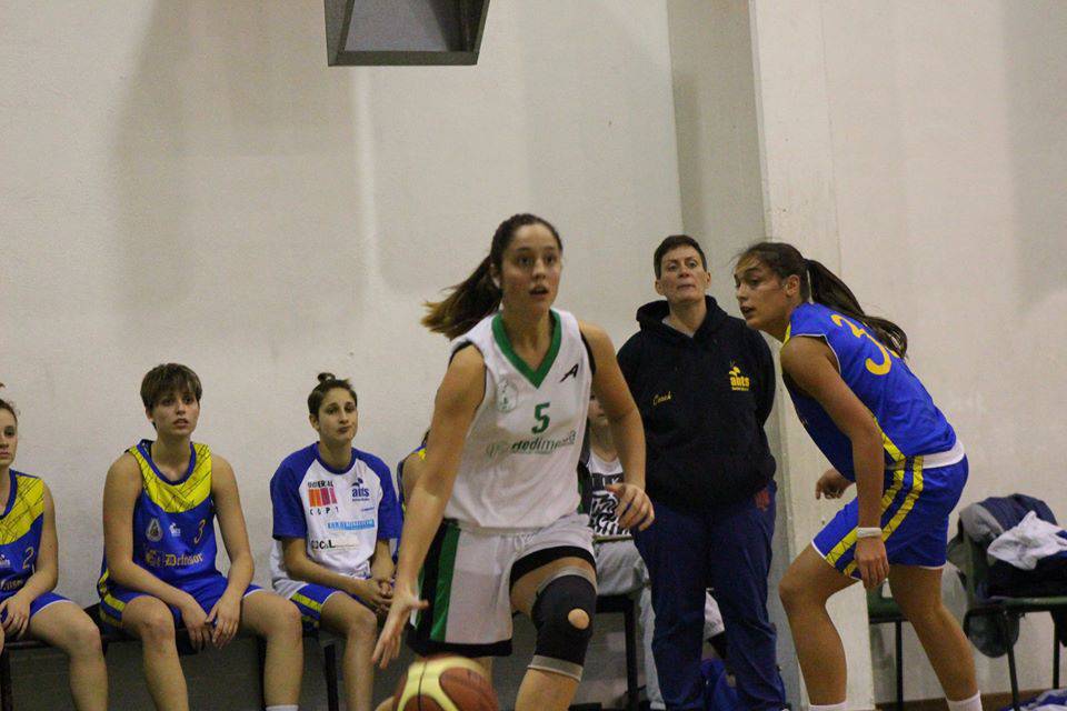 basket latina