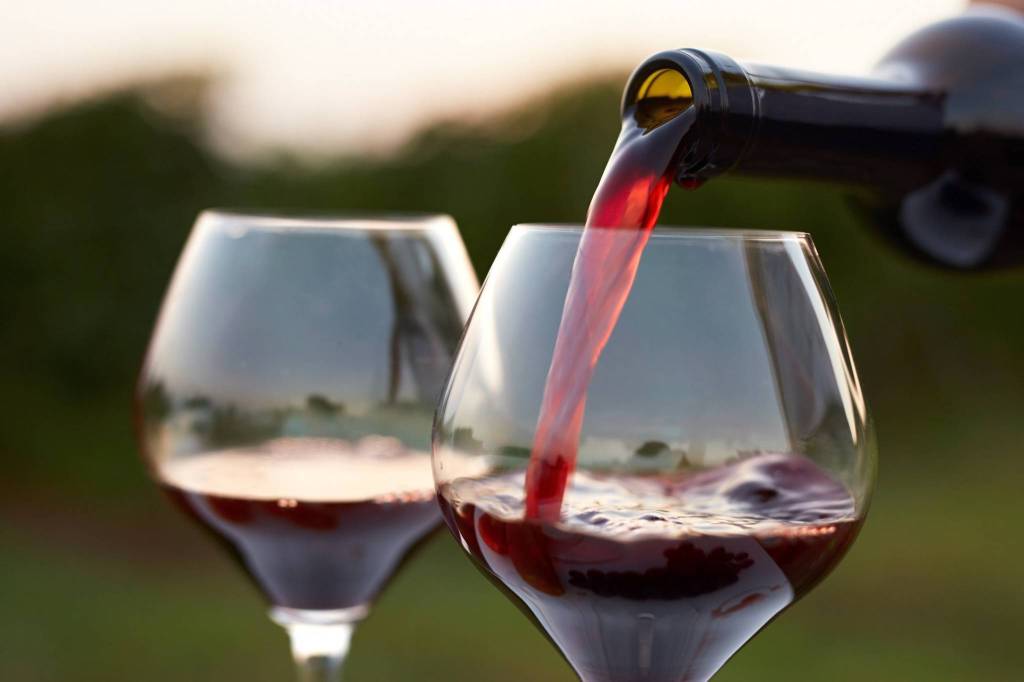 “Il vino diventi materia di studio negli Istituti turistici e alberghieri italiani”