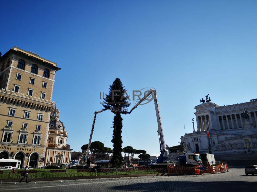 spelacchio 2020 albero di natale roma a piazza venezia
