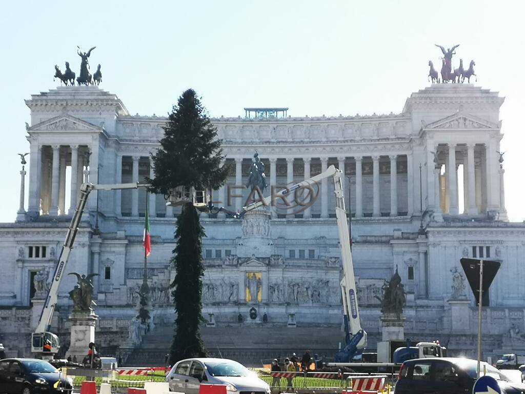 spelacchio 2020 albero di natale roma a piazza venezia