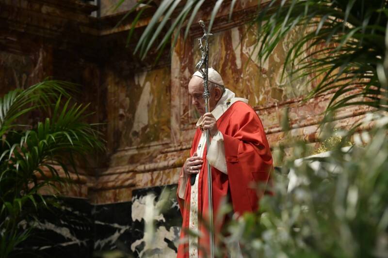 domenica delle palme papa francesco