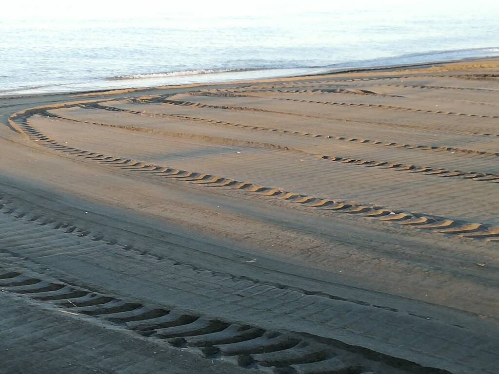 spiaggia campo di mare pulizia