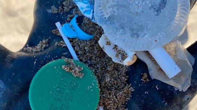 pulizia spiagge Anzio