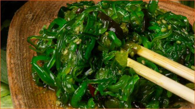 Curiosità sul sushi: cosa sono le alghe Wakame? - Il Faro Online