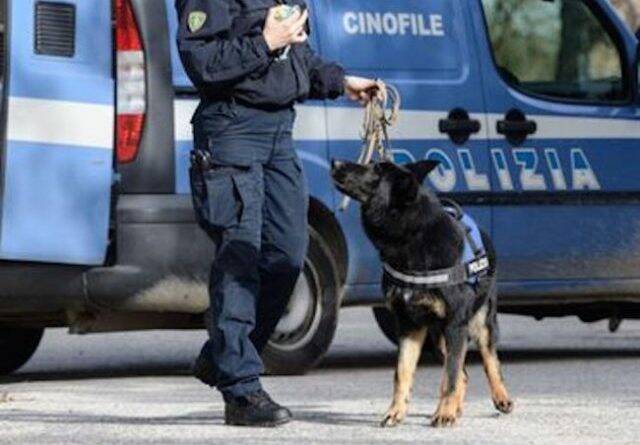 cane antidroga polizia