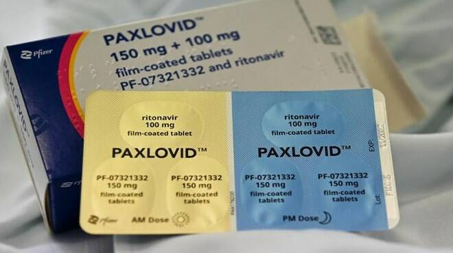 pillola anti covid Paxlovid