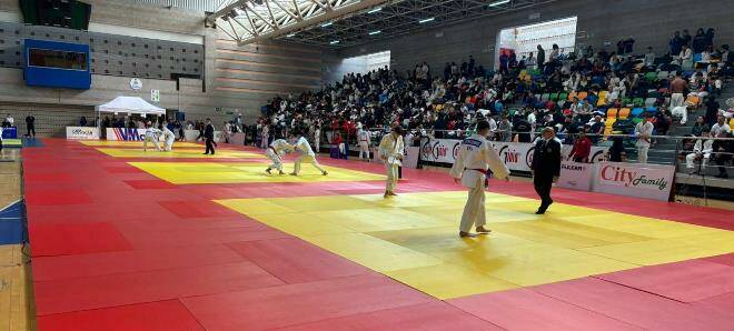 Grand Prix Lucania Juniores Judo - Foto di P. Amendola